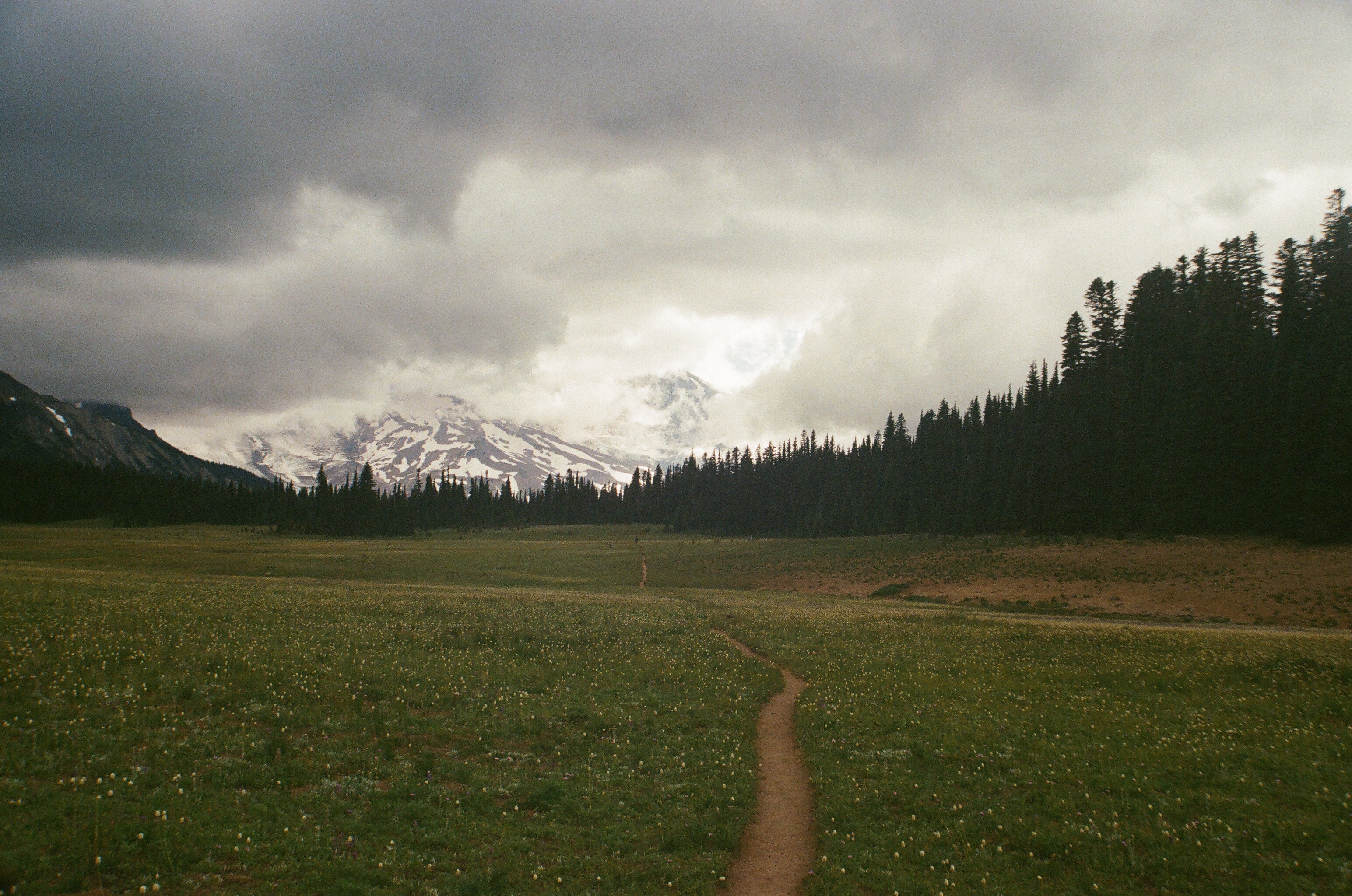 Photograph 5