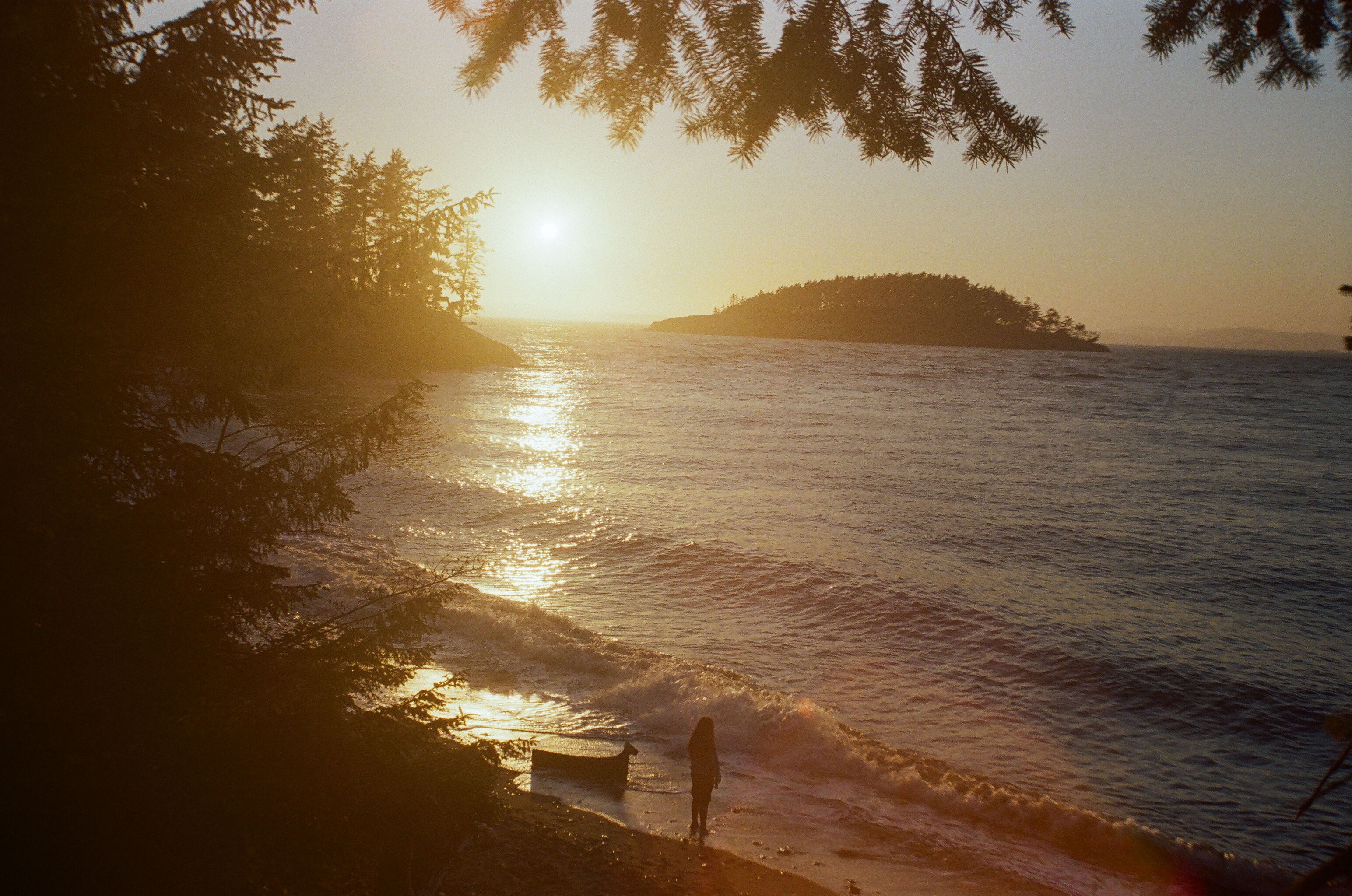 Photograph 6