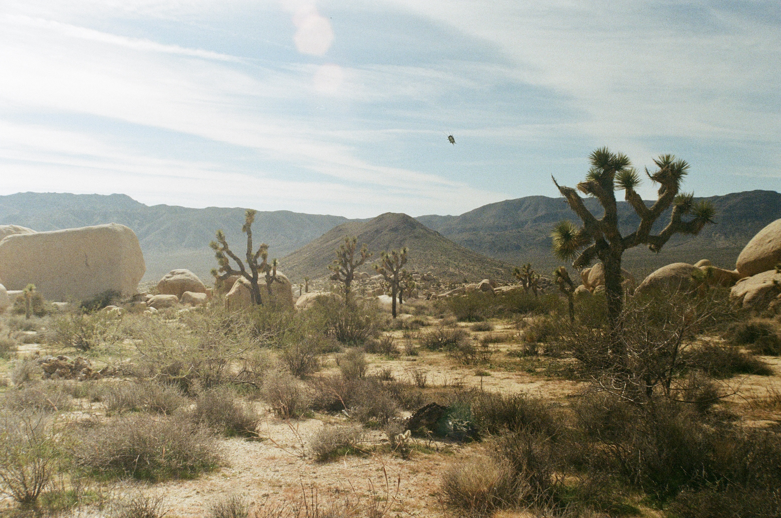 Photograph 8